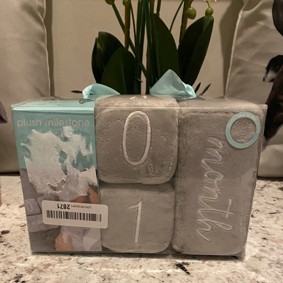 🔥 5/$25 Pearhead Baby Toddler Plush Milestone Age Blocks Gray / Grey - Picture 5 of 8